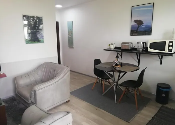 马德拉度假公寓 公寓 *