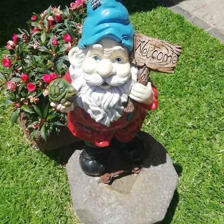 Appartement Madeira Flats