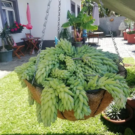 Apartamento Madeira Flats *